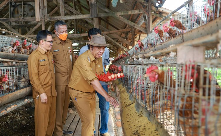 PJ Gubernur Banten Al Muktabar Jadi Tukang Ayam Potong