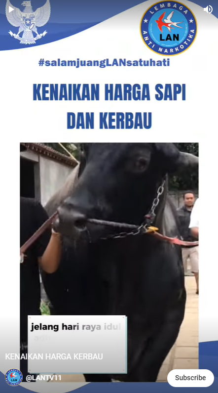 Kenaikan Harga Kerbau